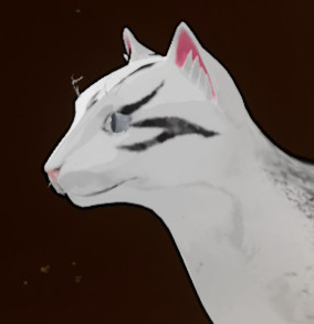 File:Muzzles--5--customization.png