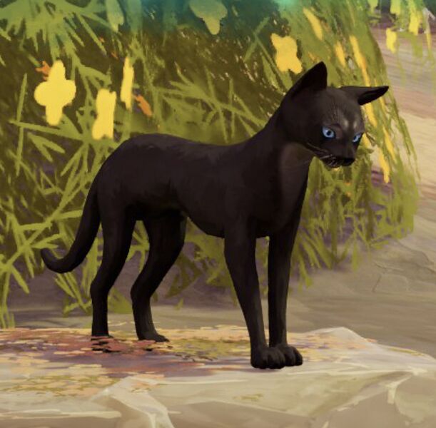 File:Game.Crowfeather.jpeg