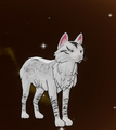 Thumbnail for version as of 22:42, 18 October 2026